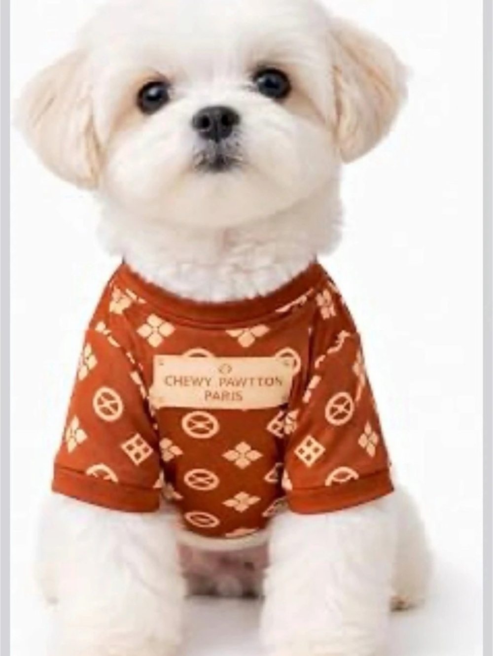 Chewy Pawtton Paris Geometric Dog Shirt in Brown & White Like New